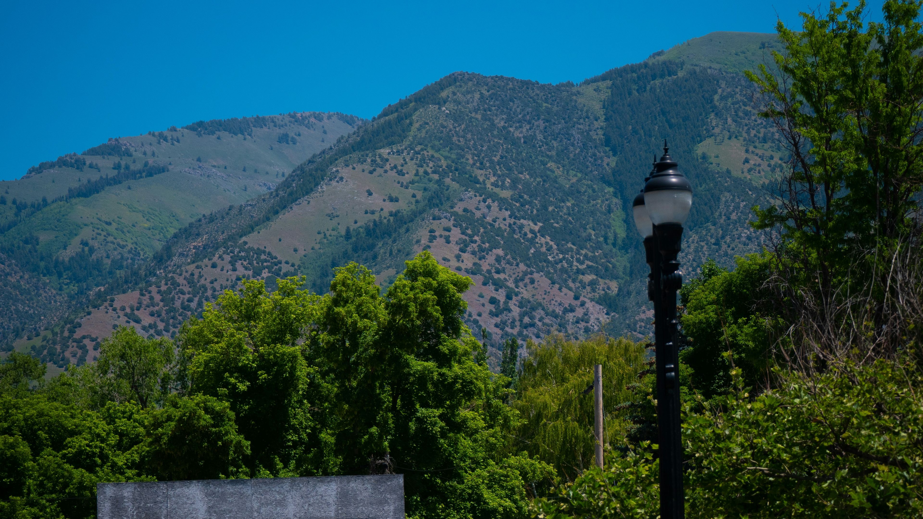 Photo by Trevor Turner @ Unsplash
      